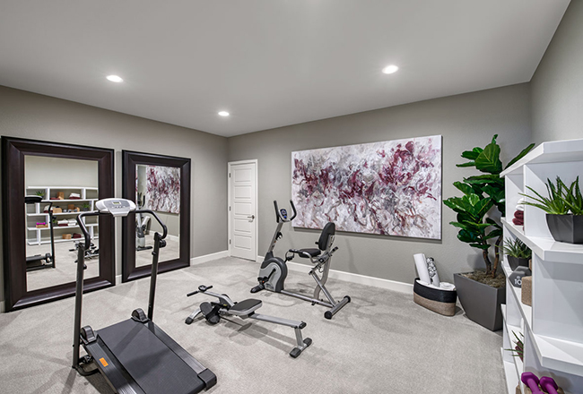 Home gym with stationary bike, treadmill, rowing machine and large mirrors