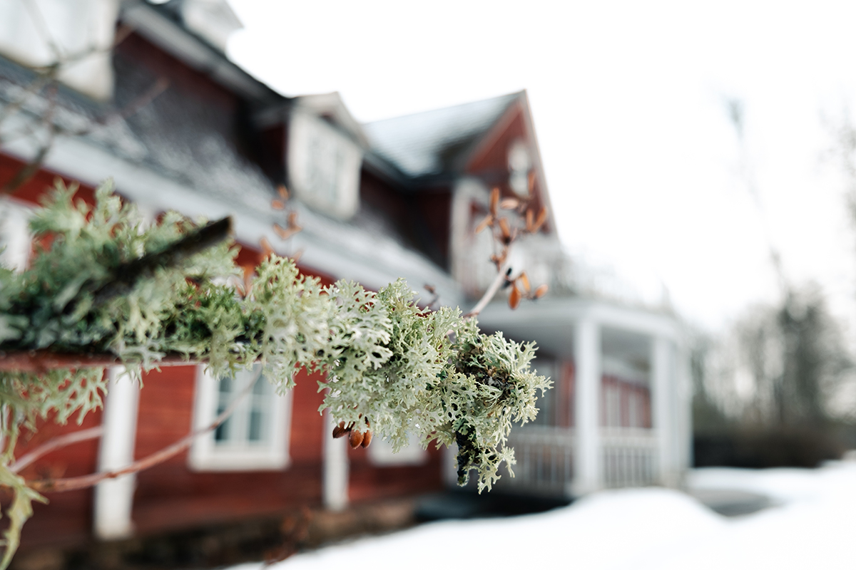 Advantages of Buying a House in Winter