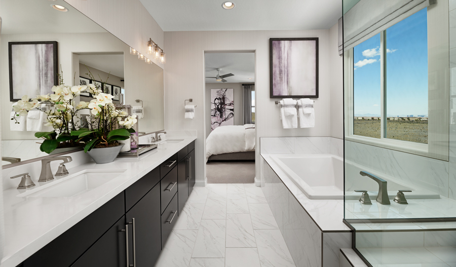 Owner's Bathroom of the Coronado plan