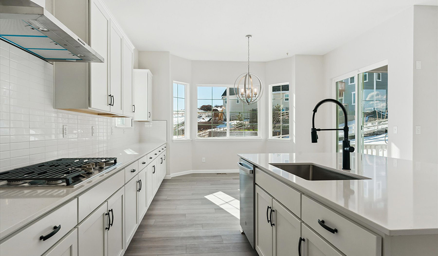 Kitchen of the Delaney floor plan